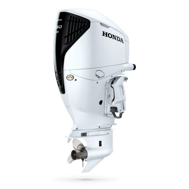 BF250