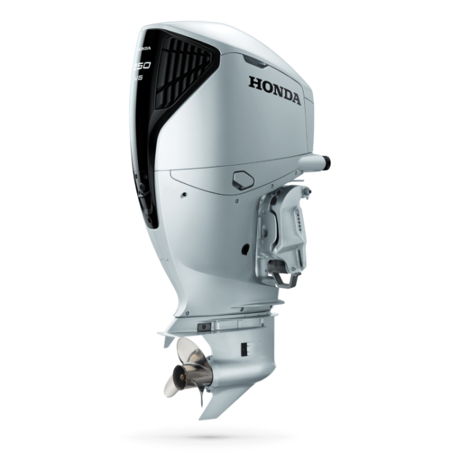 BF250 - Image 2